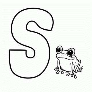 S De Sapo para colorir