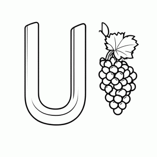U De Uva para colorir