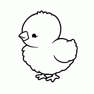 Filhote De Galinha Pintinho para colorir