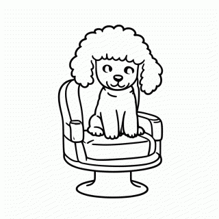 Poodle no Salão para colorir