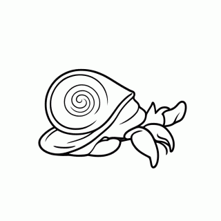 Caranguejo Eremita para colorir