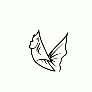 Peixe Anjo para colorir
