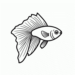 Peixe Betta para colorir
