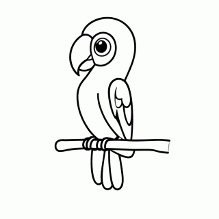 Arara para colorir