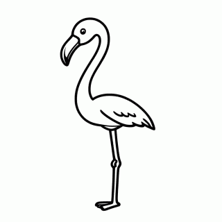 Flamingo para colorir