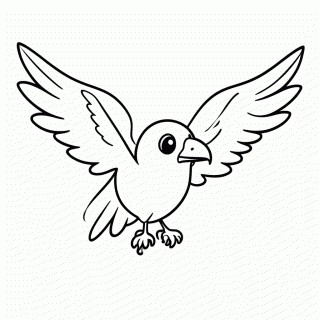 Gaviao — Animais Selvagens Exóticos