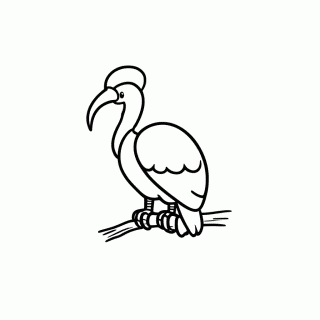 Urubu para colorir