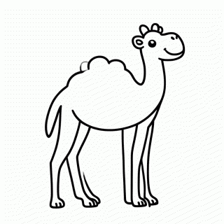 Camelo para colorir