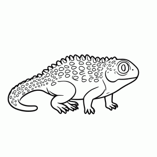 Iguana — Animais para Colorir