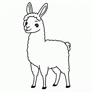 Lhama para colorir