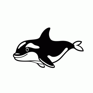 Orca para colorir
