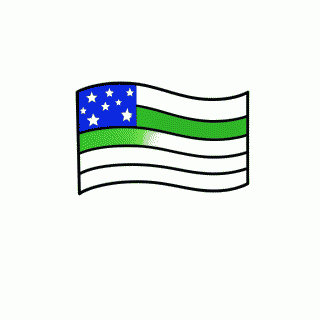 Bandeira de Goias para colorir
