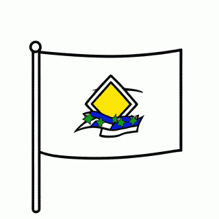 Bandeira de Mato Grosso para colorir