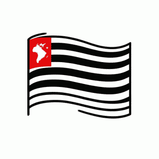 Bandeira de Sao Paulo para colorir