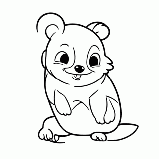 Brasil — Capivara — Bichos do Brasil para Colorir