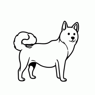 Akita para colorir