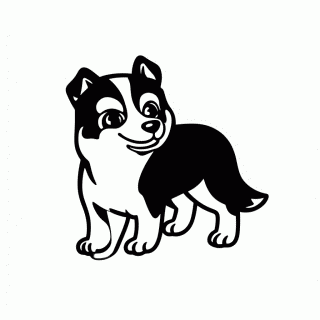 Border Collie para colorir