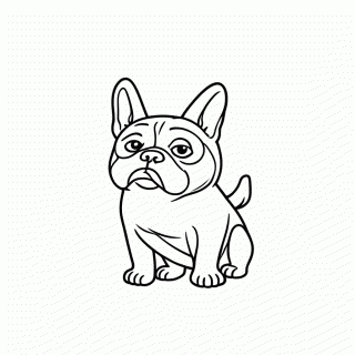 Bulldog Frances para colorir