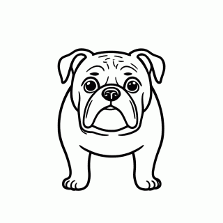 Bulldog Ingles para colorir