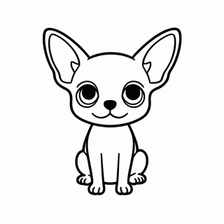 Chihuahua para colorir