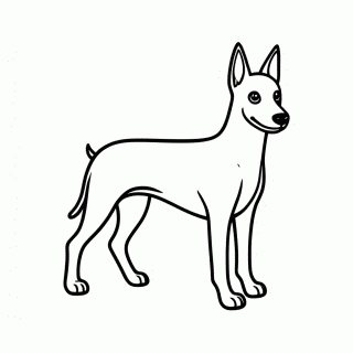 Doberman para colorir