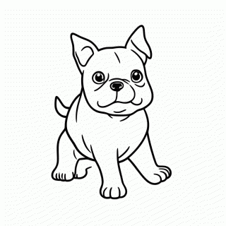 Pitbull para colorir