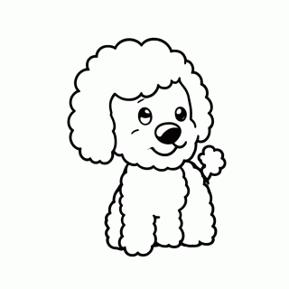 Poodle Toy para colorir