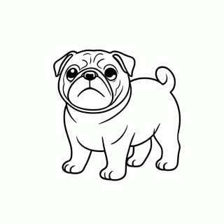 Pug Fofo para colorir
