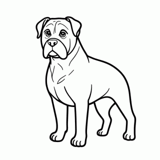 Rottweiler para colorir