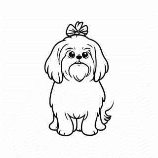 Shih Tzu para colorir