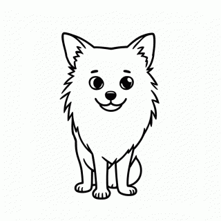 Spitz Alemao para colorir
