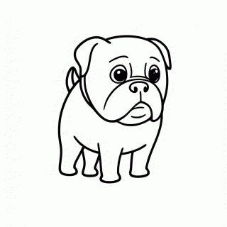 Bulldog Frances para colorir