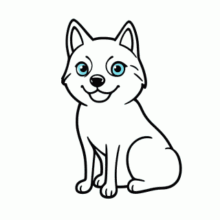 Husky Siberiano Olhos Azuis para colorir