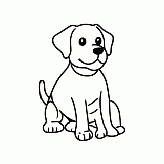 Labrador Amarelo para colorir