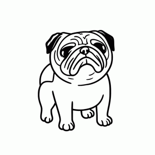 Pug Cara Amassada para colorir