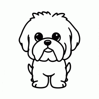 Shih Tzu Fofo para colorir