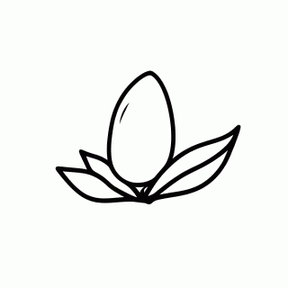 Metamorfose Borboleta 1 — Ciclo de Vida e Natureza para Colorir