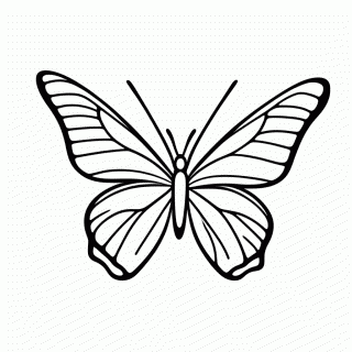 Metamorfose Borboleta 4 para colorir