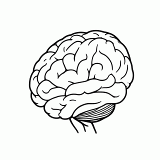 Cerebro para colorir