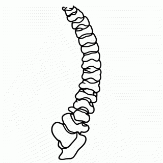 Coluna Vertebral para colorir