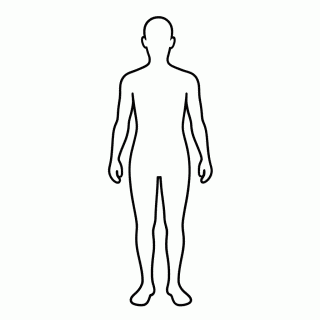 Corpo Humano Completo — Corpo Humano e Órgãos para Colorir