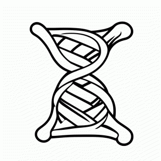 Dna Helice para colorir