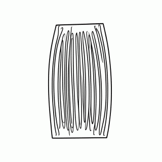 Musculo Fibra — Corpo Humano e Órgãos para Colorir