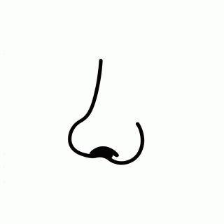 Nariz para colorir