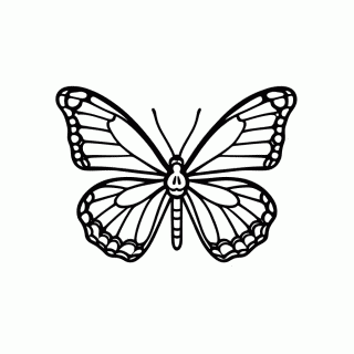 Borboleta Monarca Laranja para colorir