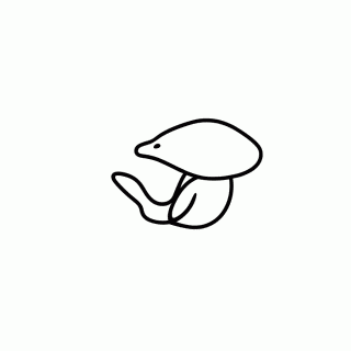 Ichthyosaurus para colorir