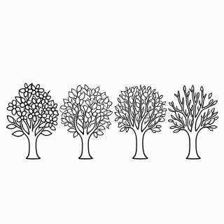 Arvore Quatro Estacoes para colorir