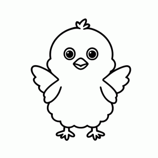 Pintinho para colorir