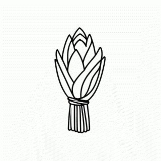 Pamonha para colorir