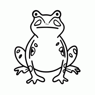 Sapo Cururu para colorir